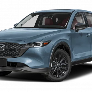 Transporte Aeropuerto ZLO Premium