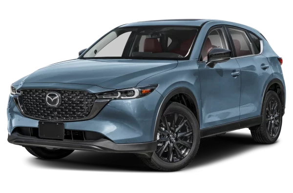 Transporte Aeropuerto ZLO Premium